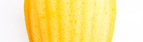 Madeleine マドレーヌ