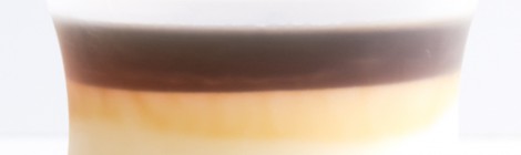 Pudding au Tofu とうふプリン