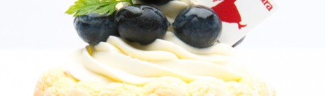 Charlotte aux myrtilles ブルーベリーのシャルロット