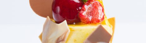 Vega Praline Orange ウェガ・プラリネ・オランジュ